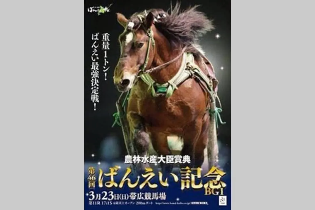 Guest House モモ 带广 公寓